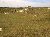 Nordsee 2017 Joerg (44)  Spaziergang durch die Dnenlandschaft von Norderney